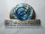 My Website